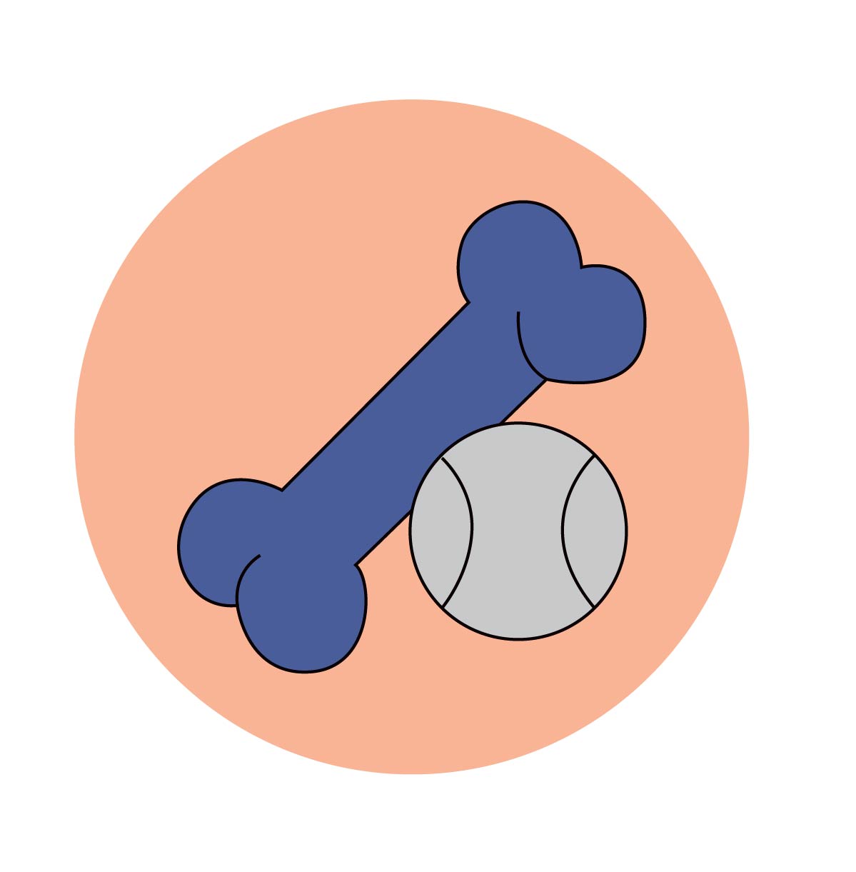 PET TOYS